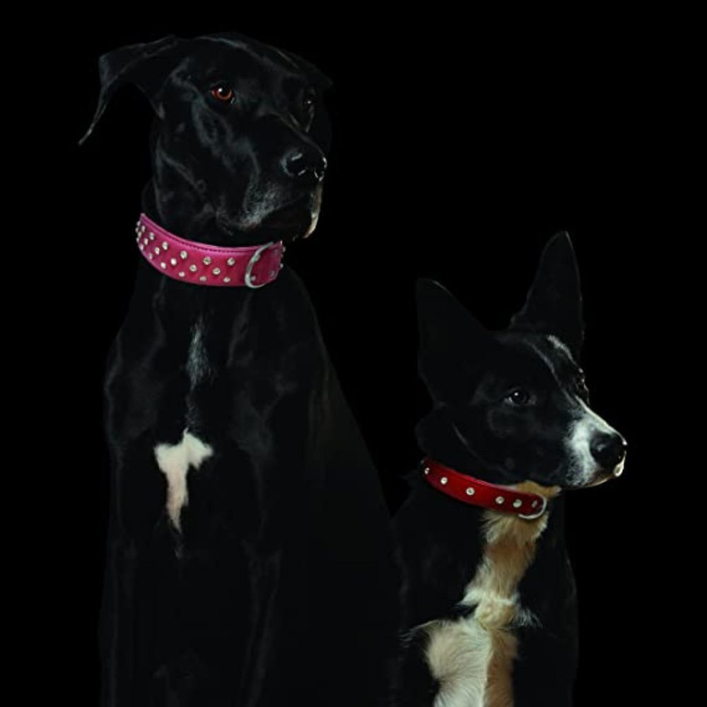 Angel Genuine Leather&Rhinestone Dog Collar Black